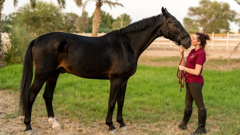 Why Spending Time with Horses is Good for You?