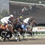 The Rules of Horse Races – A Beginner’s Guide