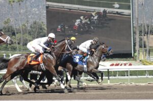 The Rules of Horse Races – A Beginner’s Guide