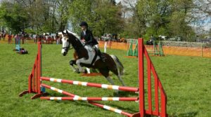 The Rules of Show Jumping – What is Show Jumping?