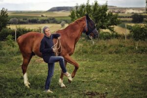 Dressage – What You Need to Know