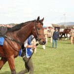Proper Etiquette at a Horse Race – Go to Horse Races Prepared